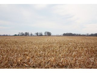 Property photo 5 - MAJOR LAND AUCTION - 541+/- Acres offered in 5 Tracts